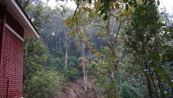 Falling Waters Munnar Extérieur photo