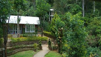 Falling Waters Munnar Extérieur photo